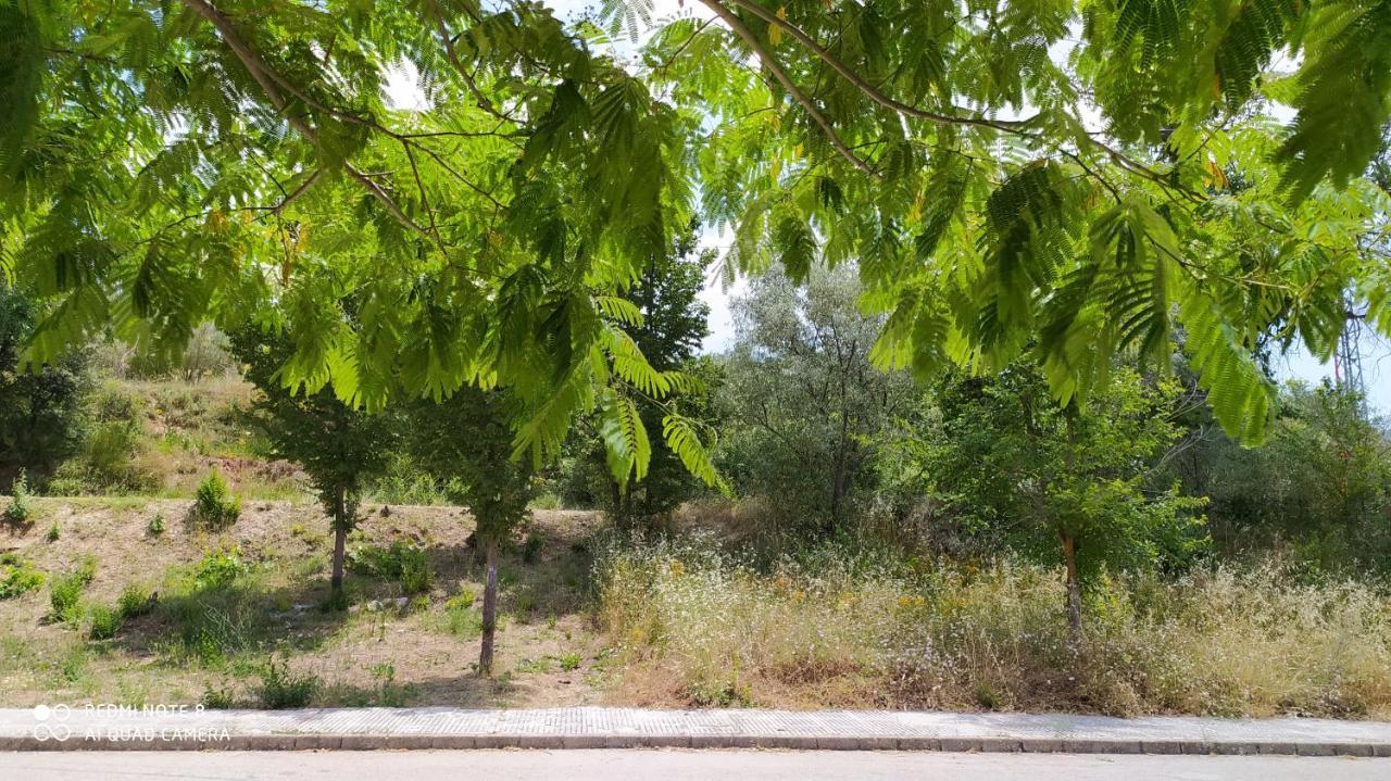 Casa Rural El Cerrete 2 Riópar المظهر الخارجي الصورة